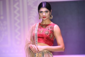 Asian Wedding Photography and Videography  